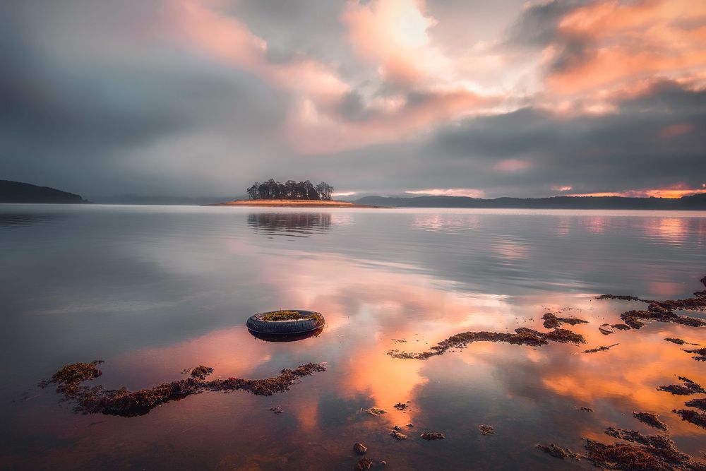 Reflection in the lake