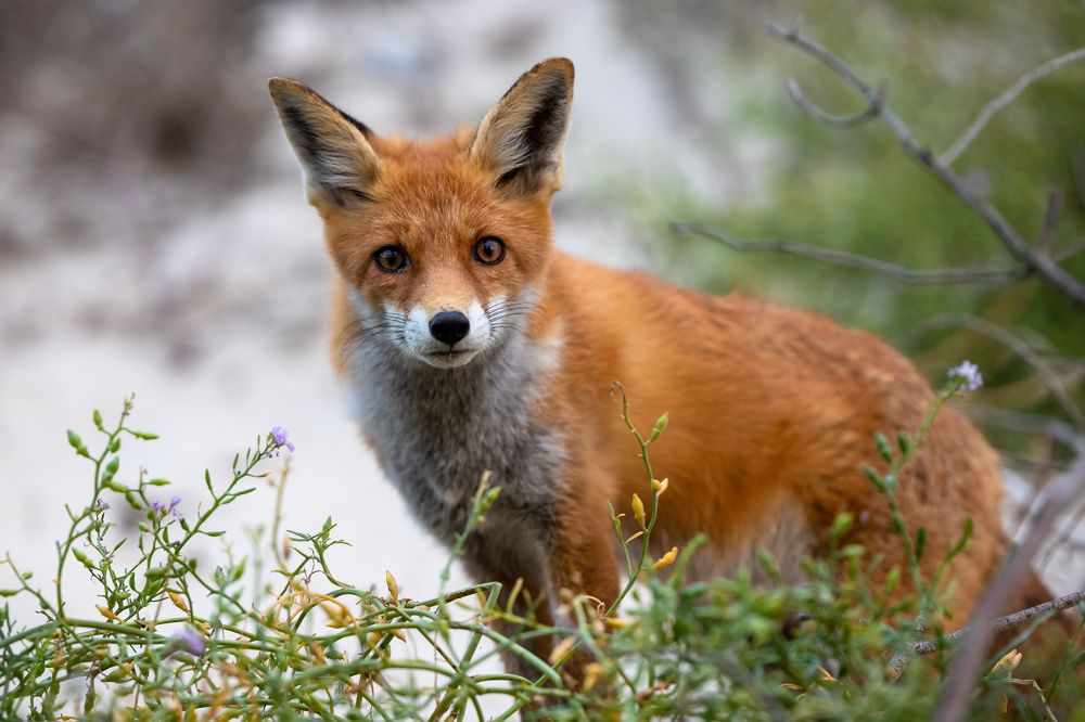 Photograph by Илья Юфа