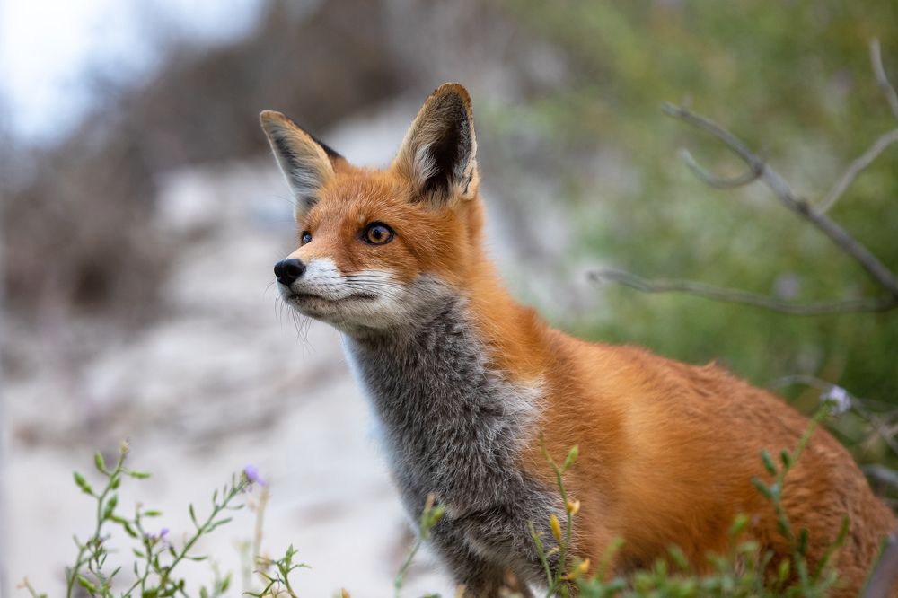 Photograph by Илья Юфа