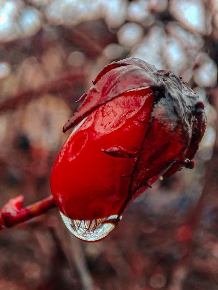 Фотография автора Marina Talalina