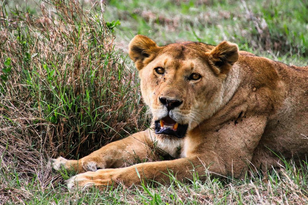 Photograph by Epp Tappel