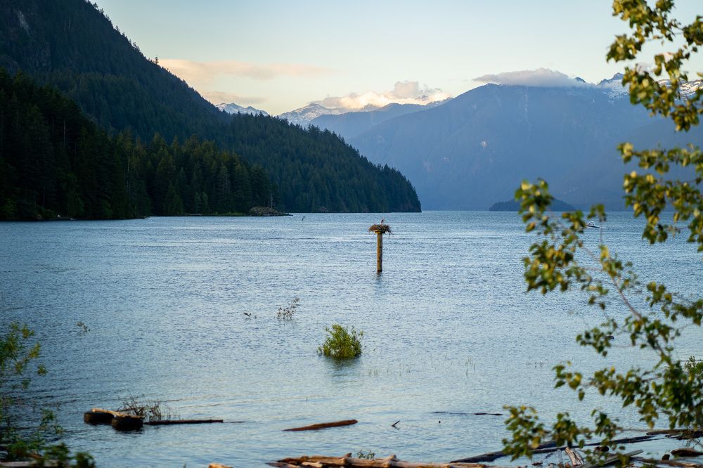 Photograph by Anton Photo