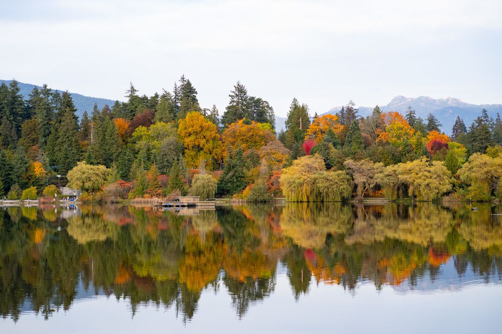 Photograph by Anton Photo