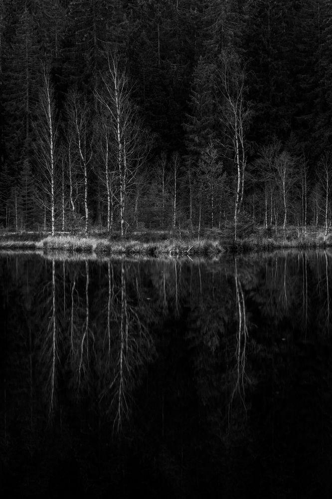 Photograph by Lionel Thenadey