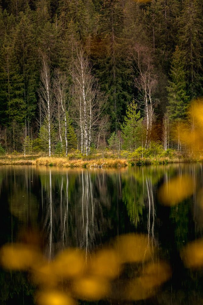 Photograph by Lionel Thenadey