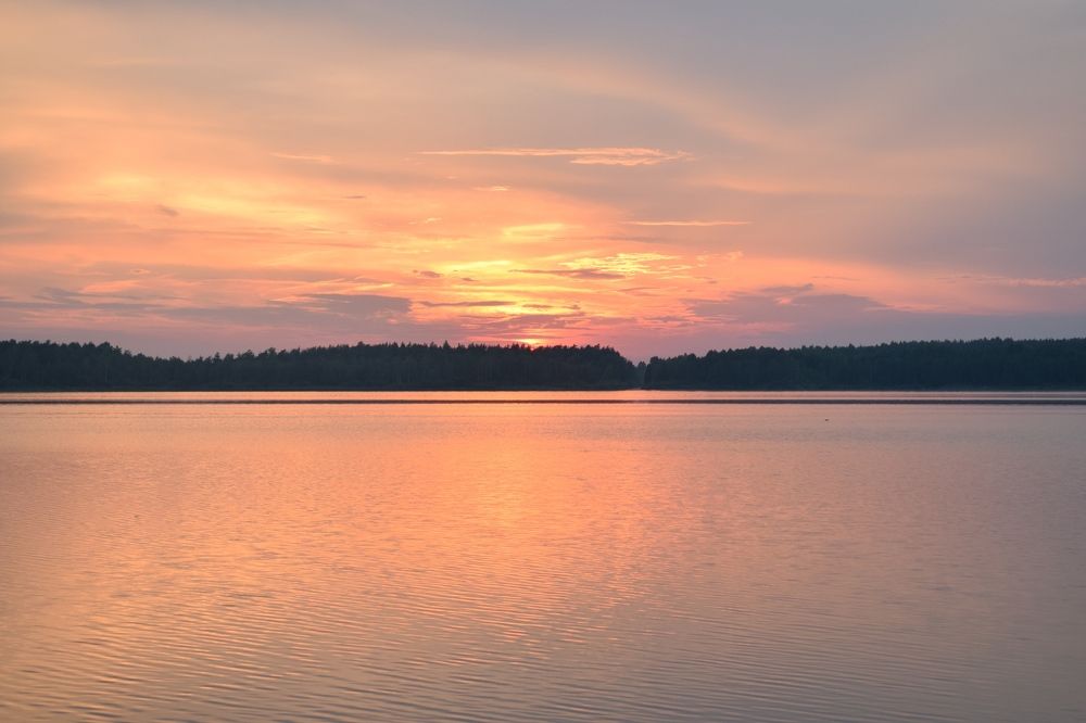 Фотография автора Татьяна Ротько