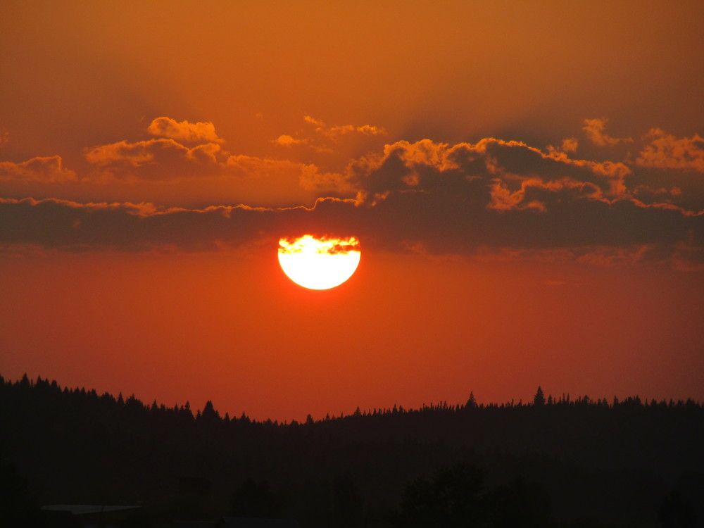 Photograph by Николай Худяков