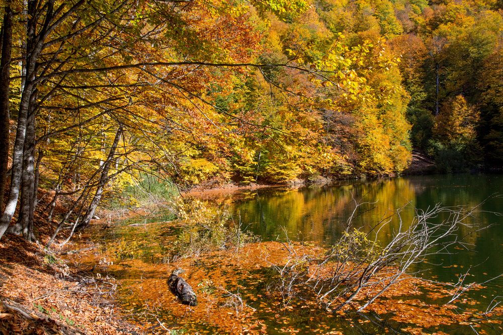 Photograph by Natalya Snegovaya