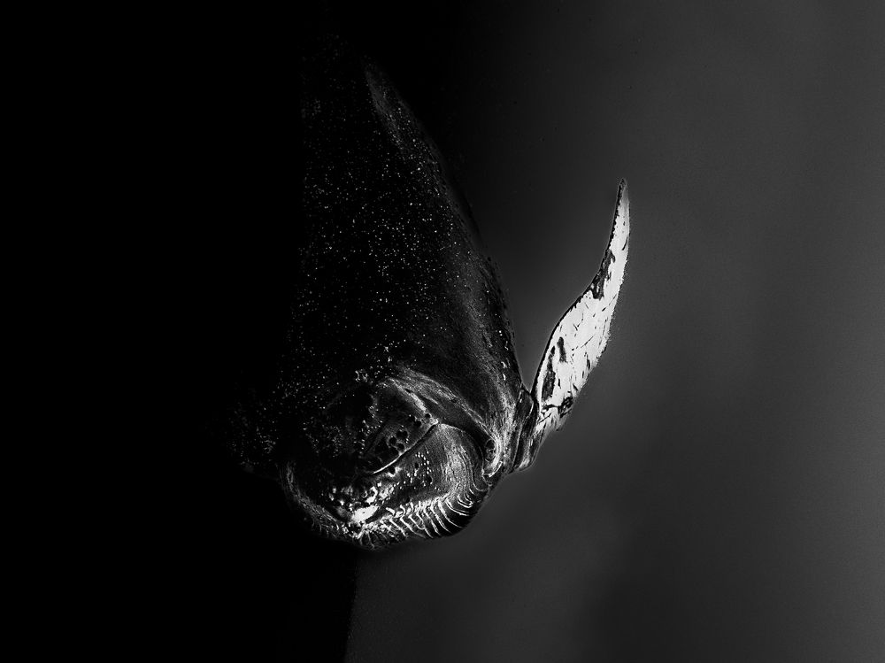 Photograph by Esteban Duque Mesa