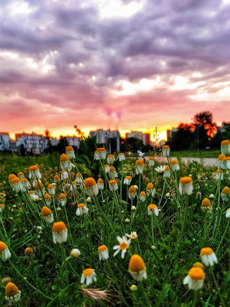 Фотография автора Гвоздецкая Анна