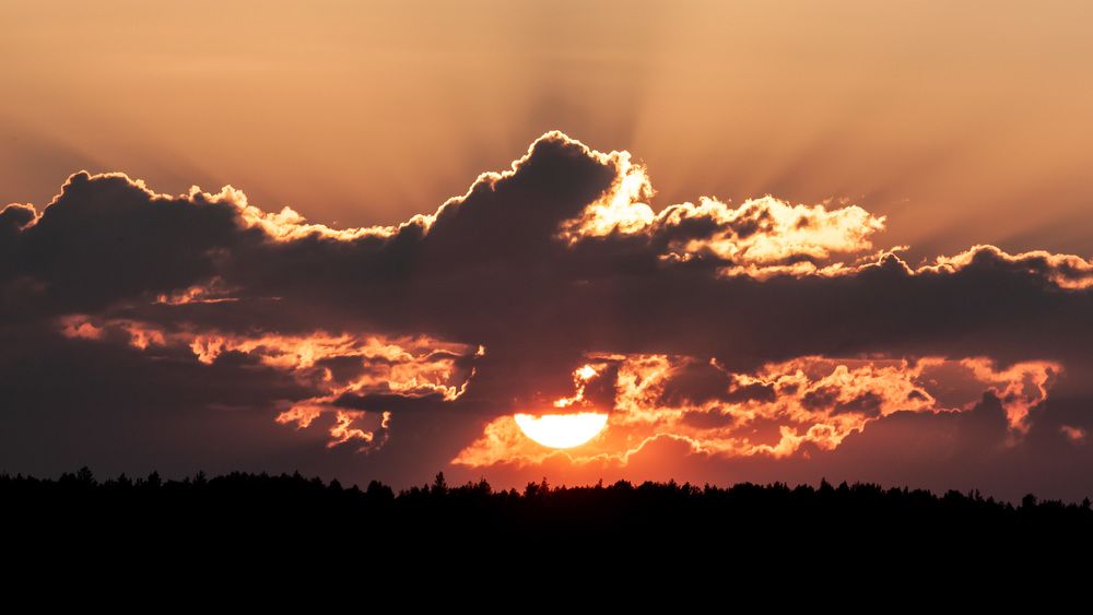 Photograph by Дмитрий Кузнецов