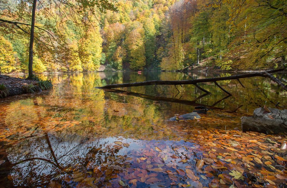 Photograph by Natalya Snegovaya