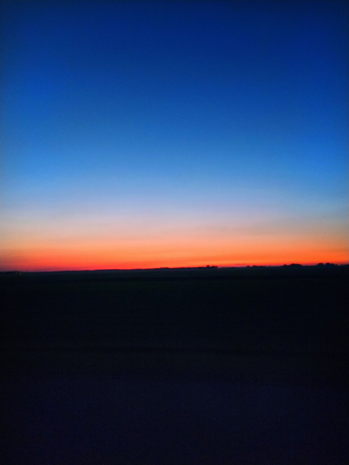 Photo #8371374