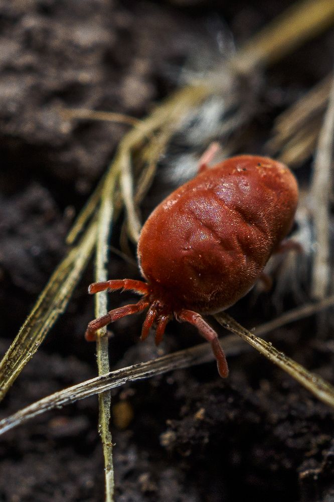 Photograph by Азат Кадиров