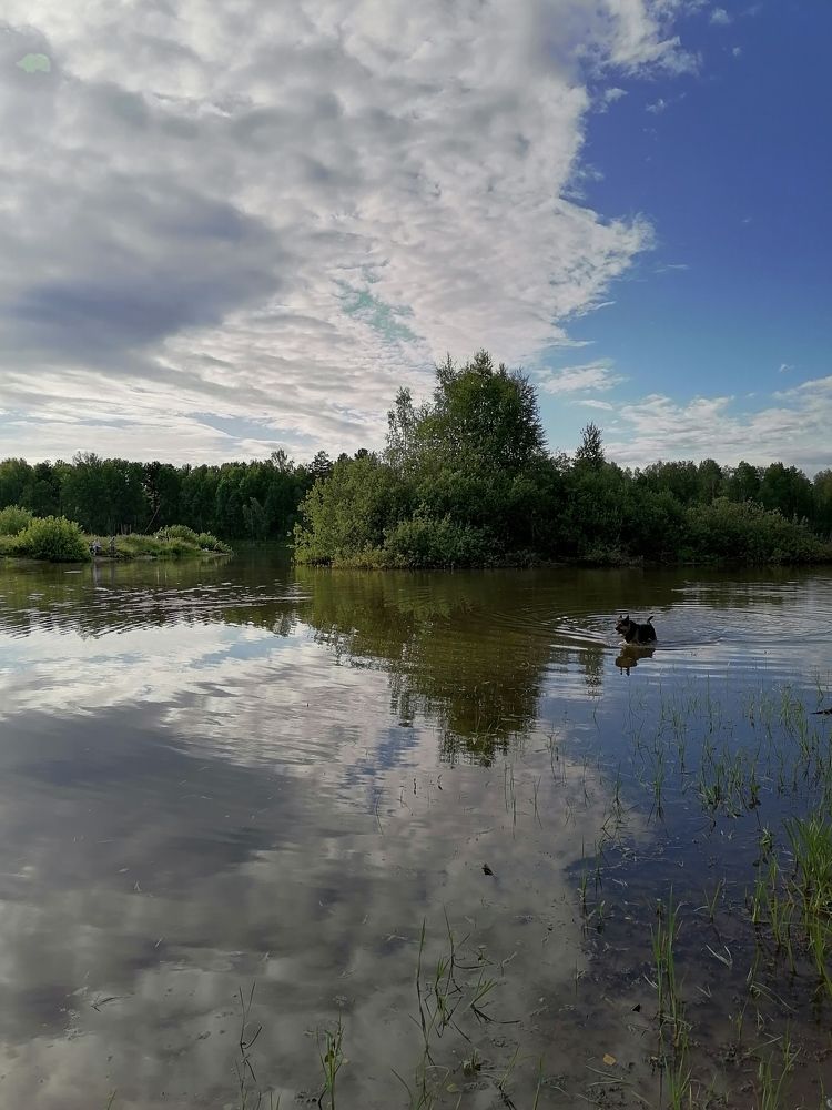 Photograph by Елена Аверьянова