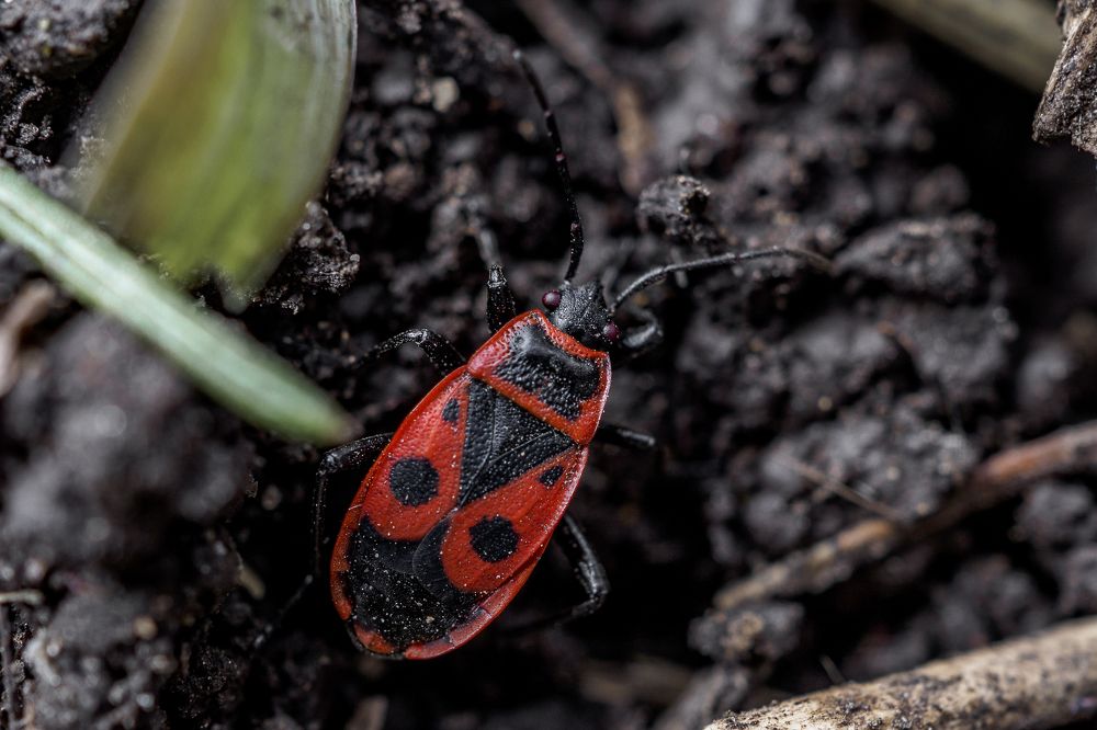 Photograph by Азат Кадиров