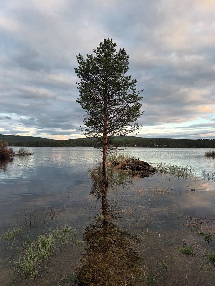 Photograph by Paola Sini