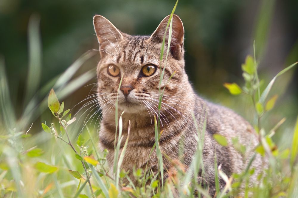 Фотография автора Данила Николюкин