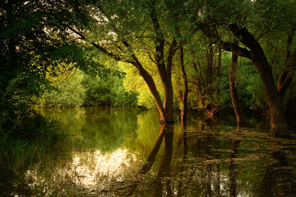 Photograph by Артем Колосов