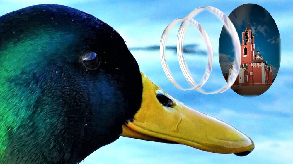 Photograph by Михаил Трусов