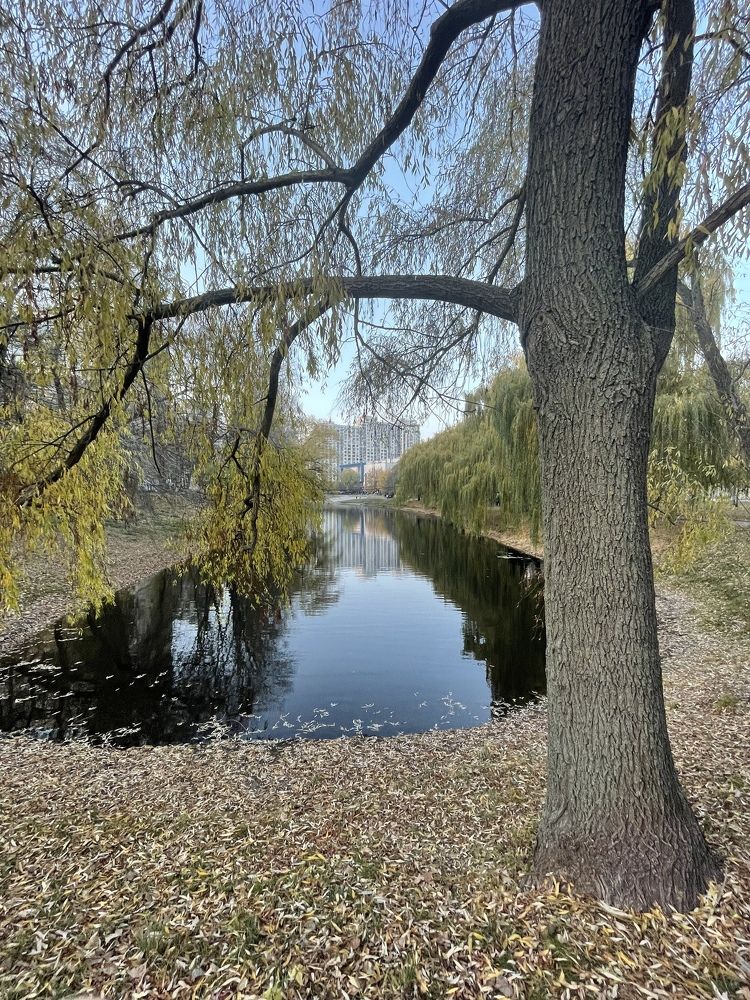 Photograph by Виктор