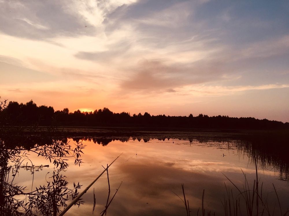 Photograph by Дарья Ермакова