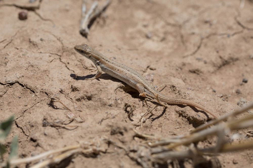 Photograph by Natalya Snegovaya