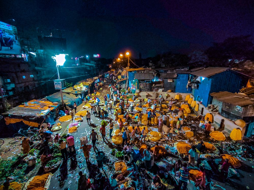 Фотография автора ANKIT GHOSH