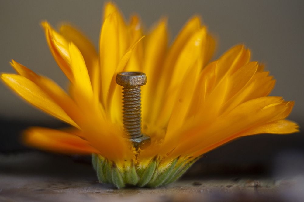 Photograph by Андрей Тарасюк