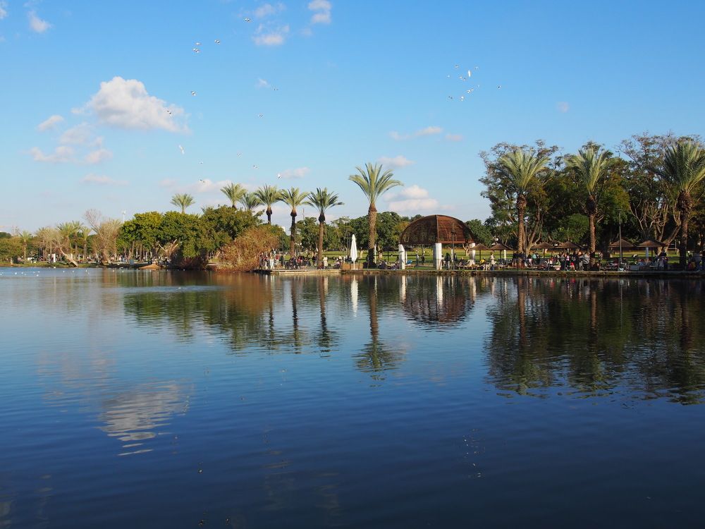 Photograph by Jacob Greenberg