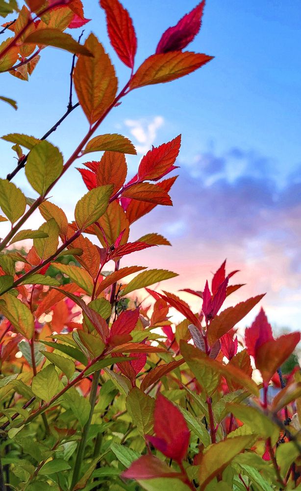 Тёплый закат