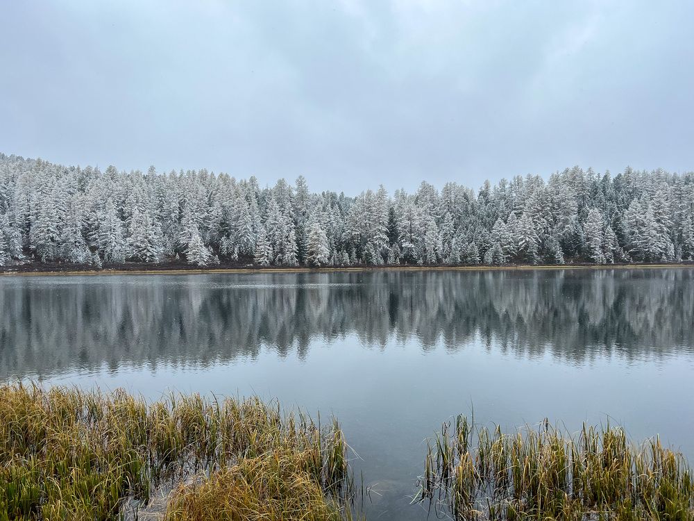 Photograph by Елена Данченко