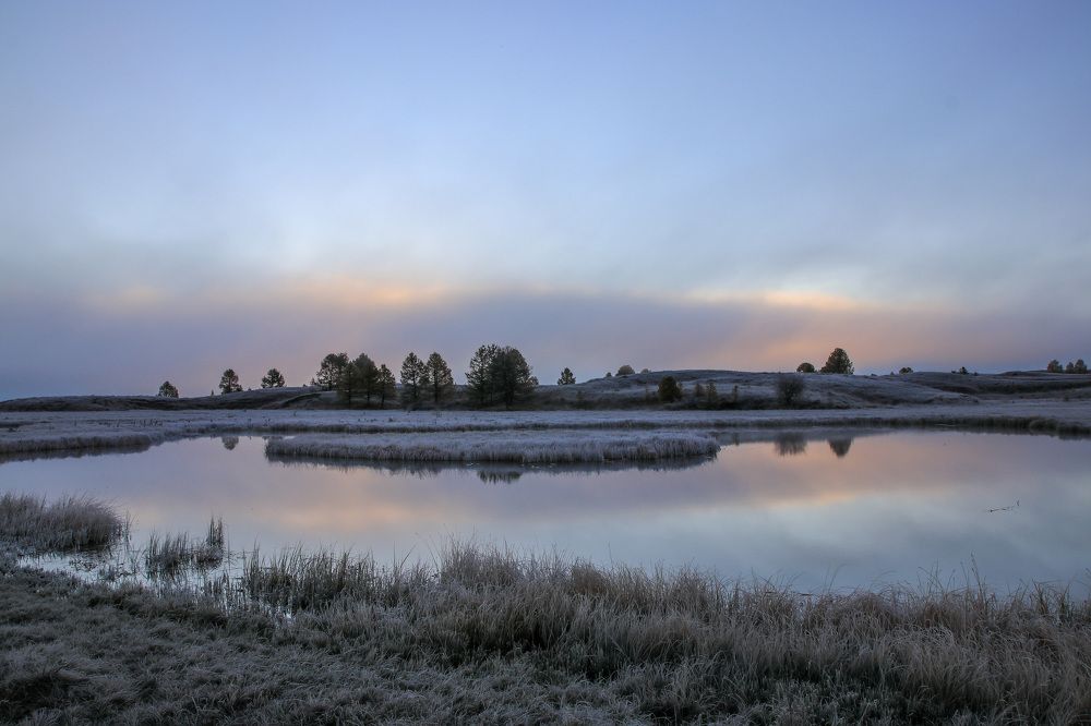 Photograph by Елена Данченко
