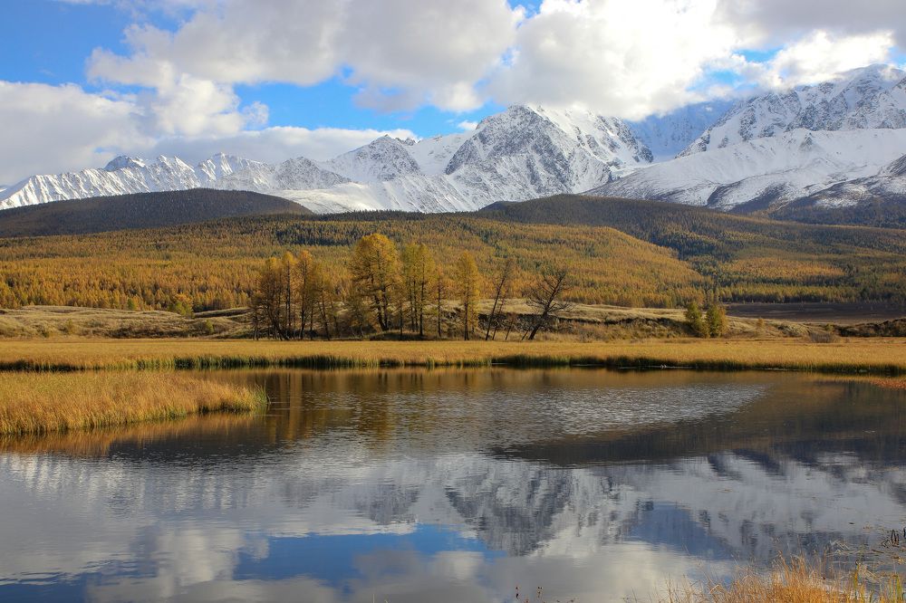 Photograph by Елена Данченко