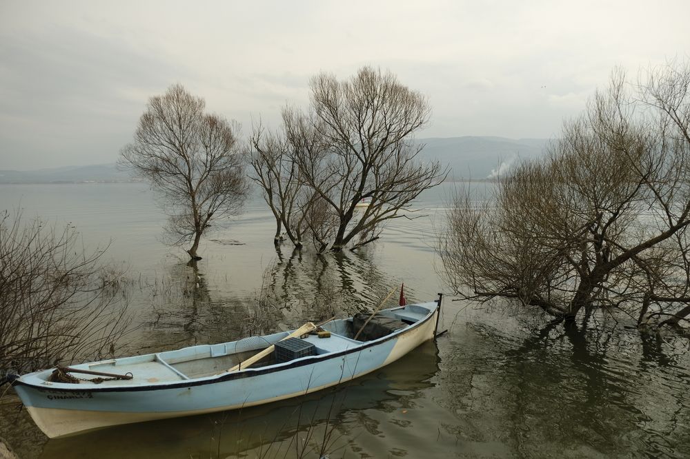 Photograph by İNCİ KOYUNCU