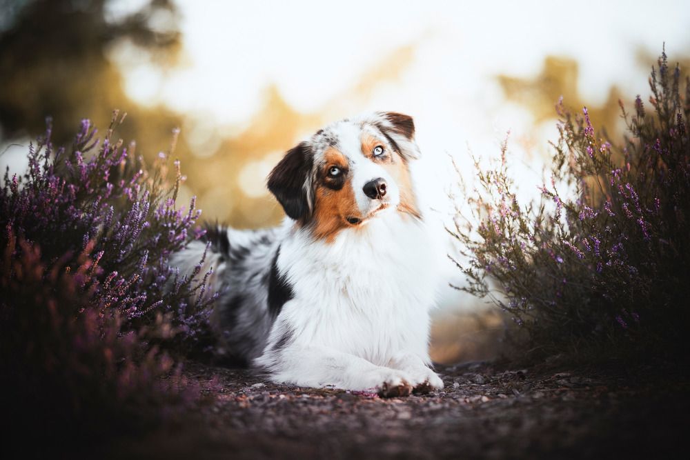 Фотография автора Kateřina Zajíčková