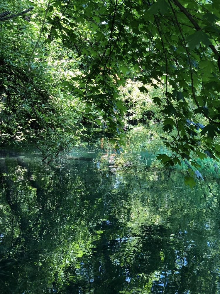 Photograph by Людмила Евстратова