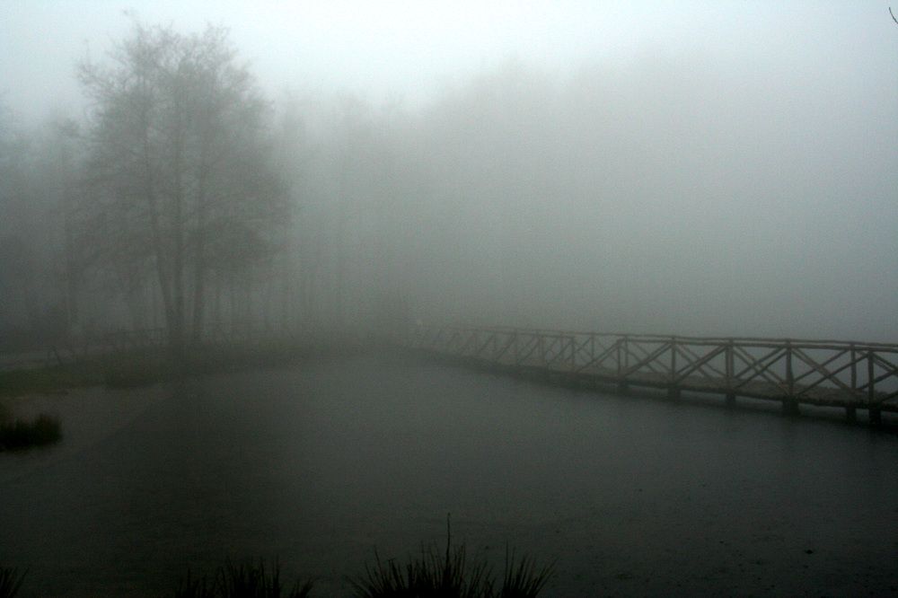 Photograph by Claudio Bonaccorsi