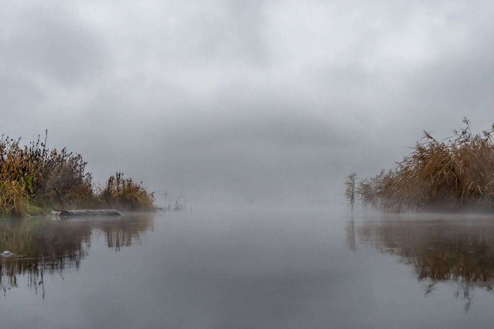 Photograph by Андрей Городецкий