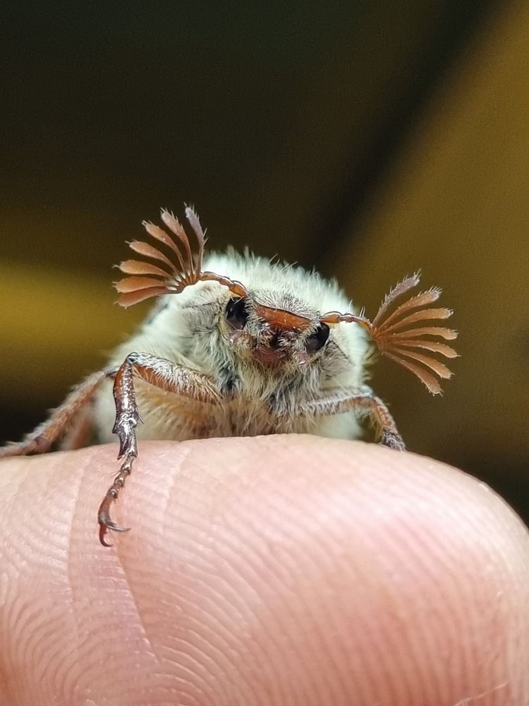 Photograph by Ангелина