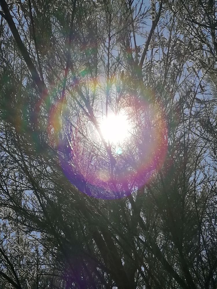 Rainbow and shadows