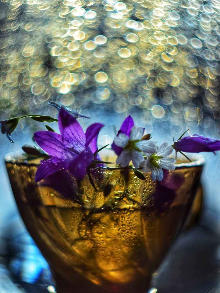 Photograph by Алеся Цеван