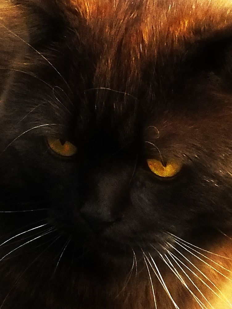 Photograph by Михаил Семёнов