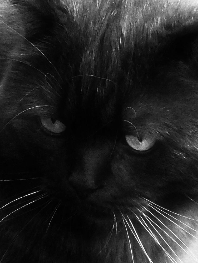 Photograph by Михаил Семёнов