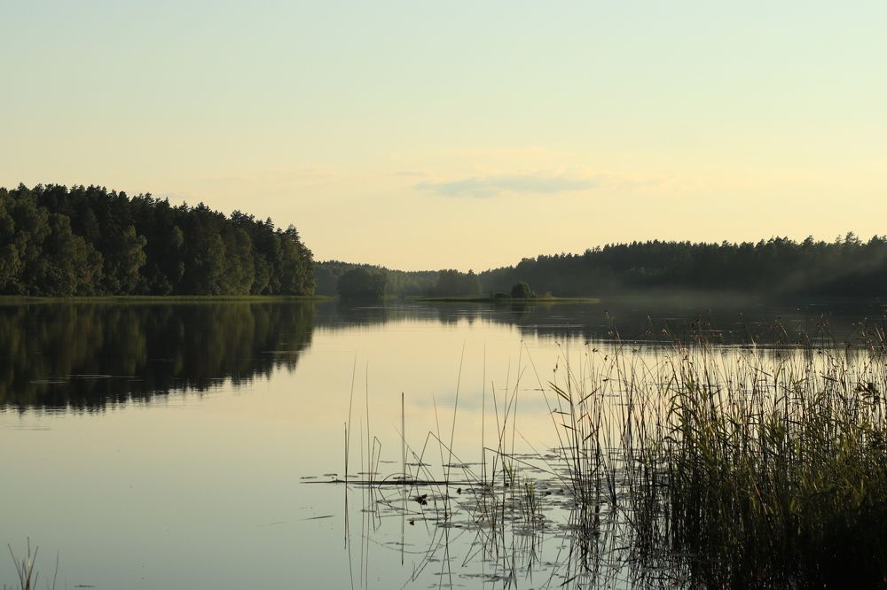 Photograph by Иван Скрипкин