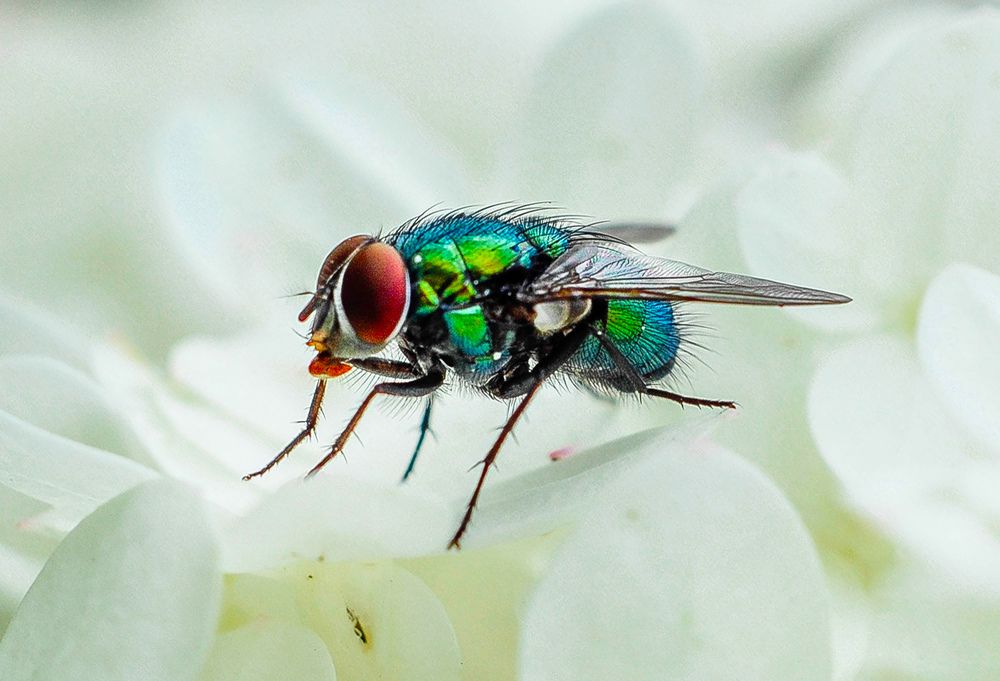 Photograph by Олеся zme