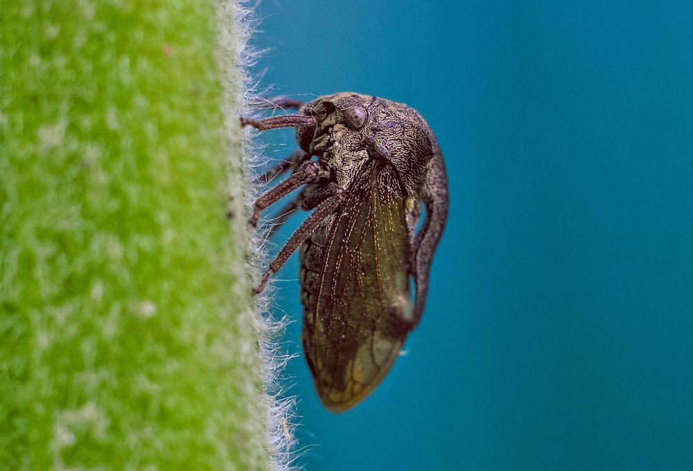 Photograph by Олеся zme