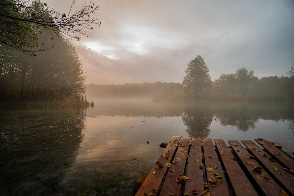 Photograph by Ксения Илюшина