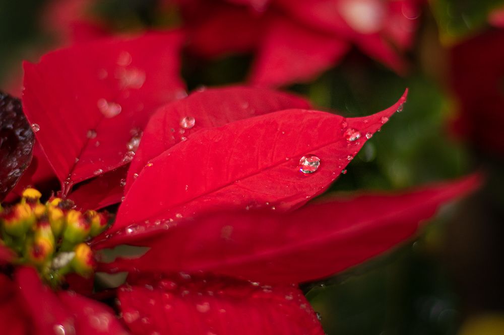 Photograph by sadegh alavi