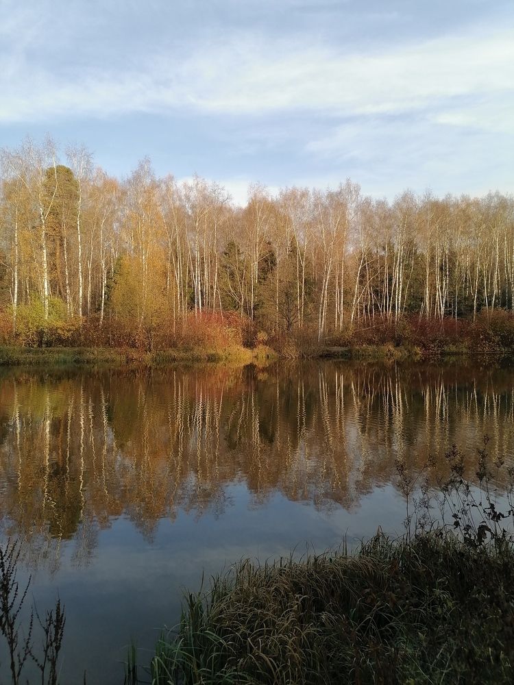 Photograph by Анжелика